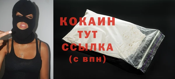 спайс Дмитриев