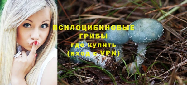 спайс Дмитриев